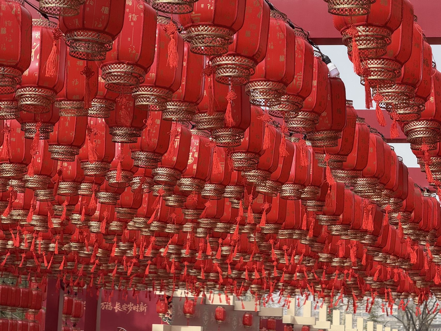 帖子配图 2
