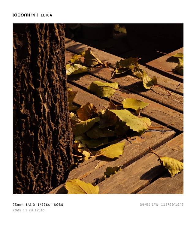 帖子配图 9