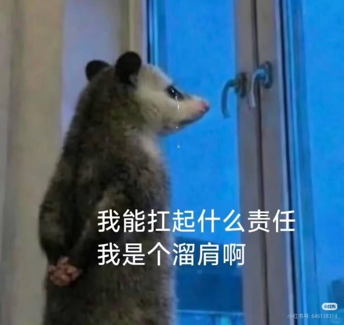 帖子配图 1