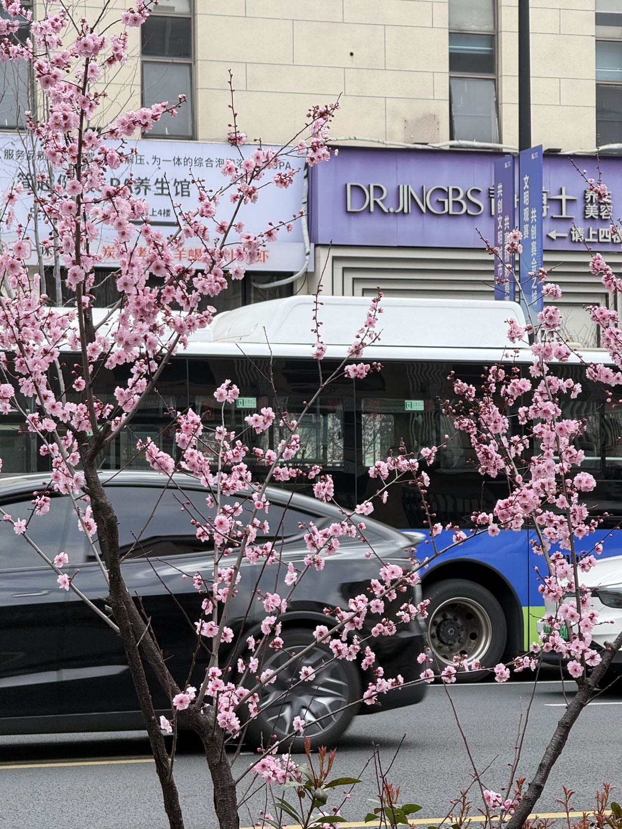 帖子配图 3
