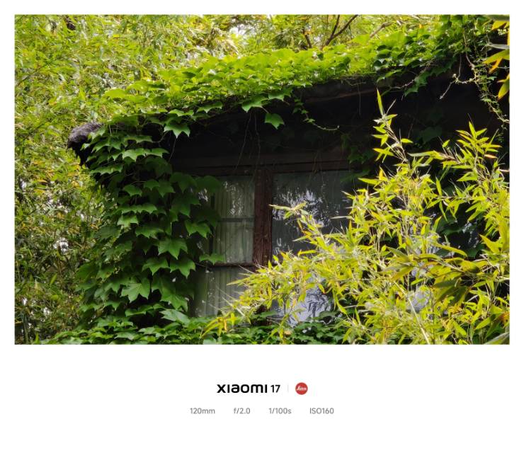 帖子配图 3