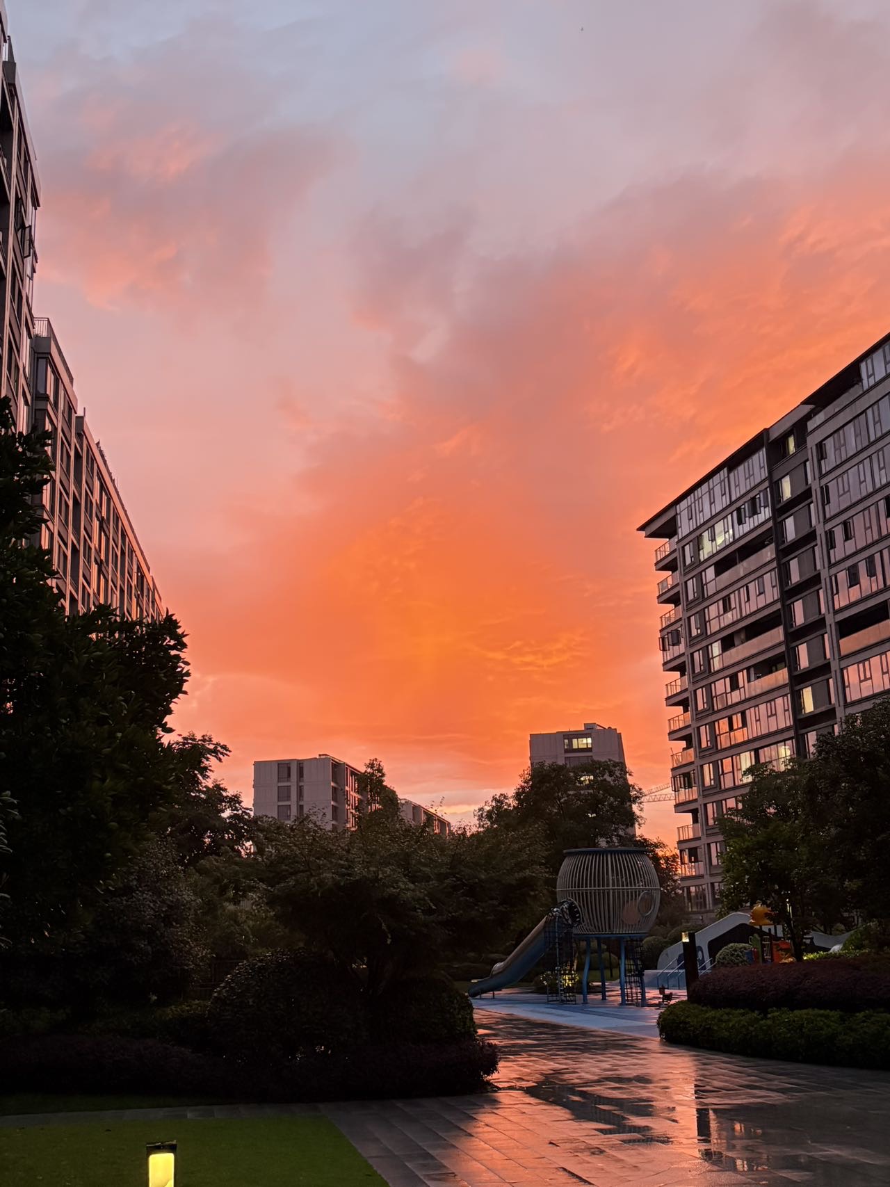 帖子配图 3