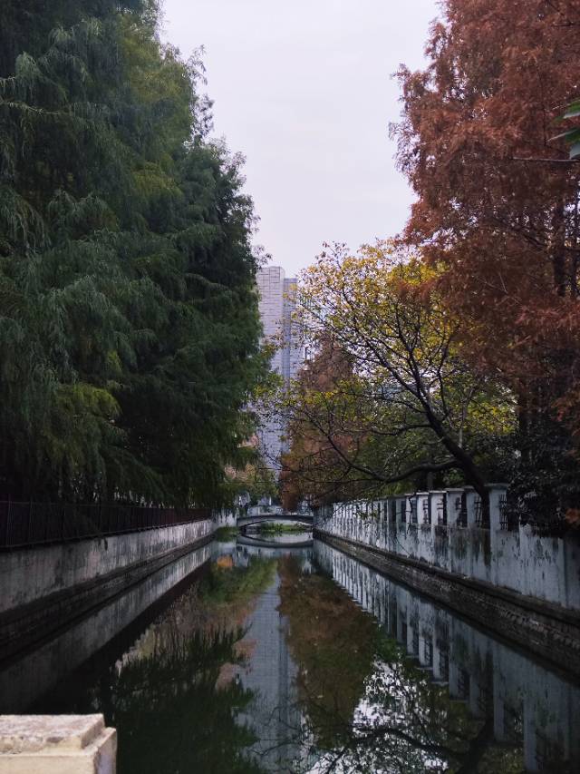 帖子配图 1