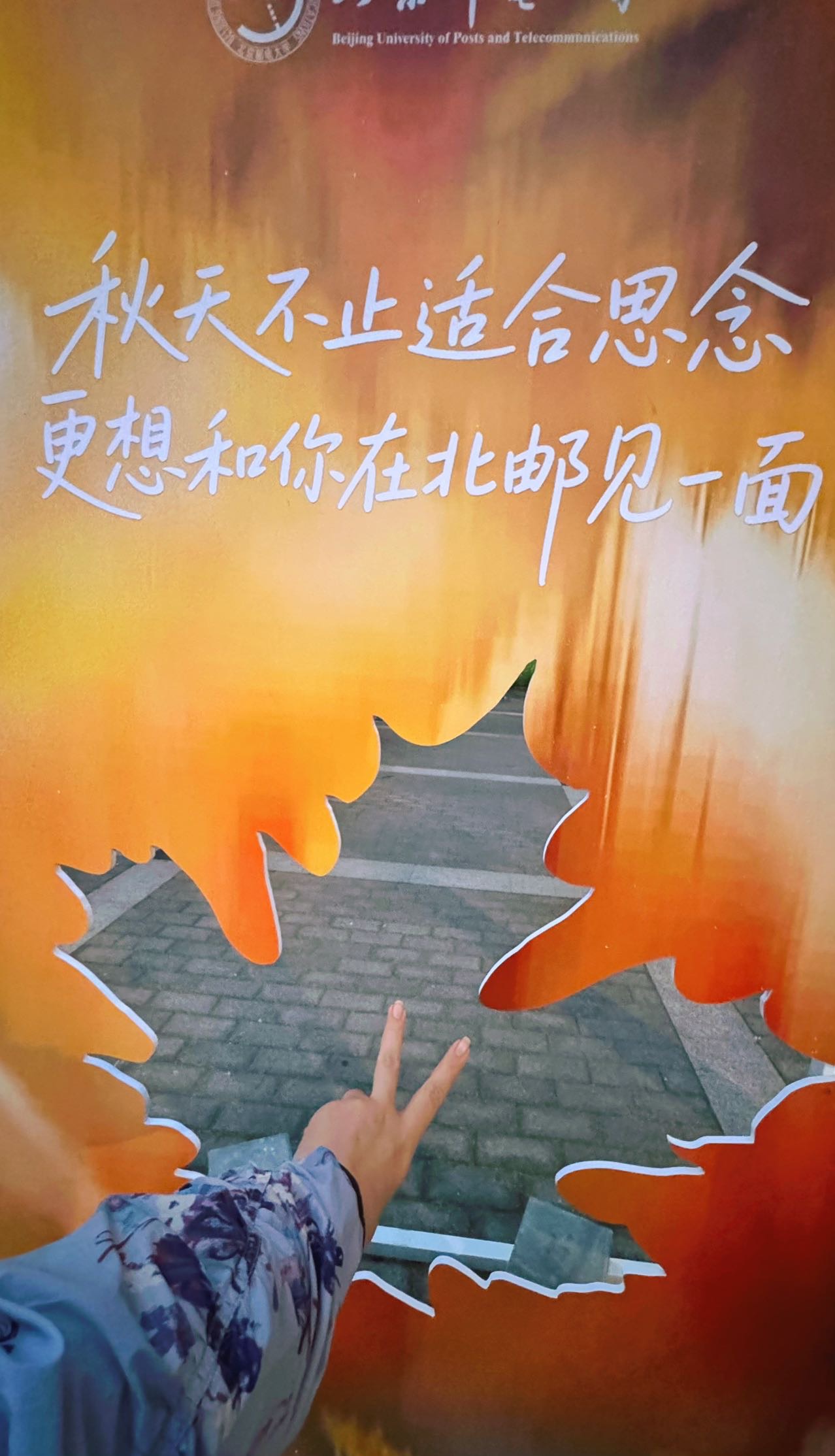 帖子配图 7