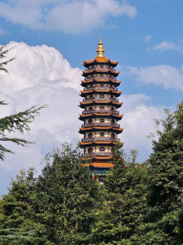 帖子配图 1