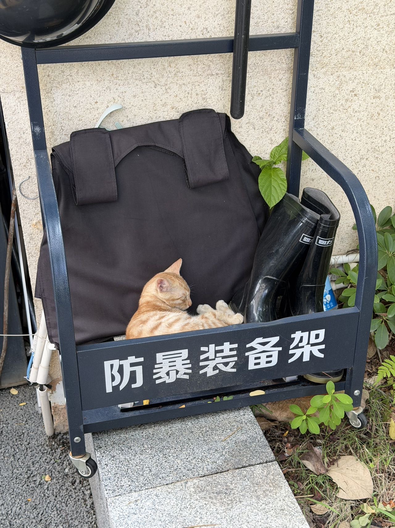 帖子配图 1