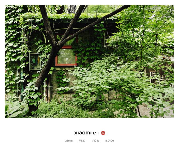 帖子配图 1