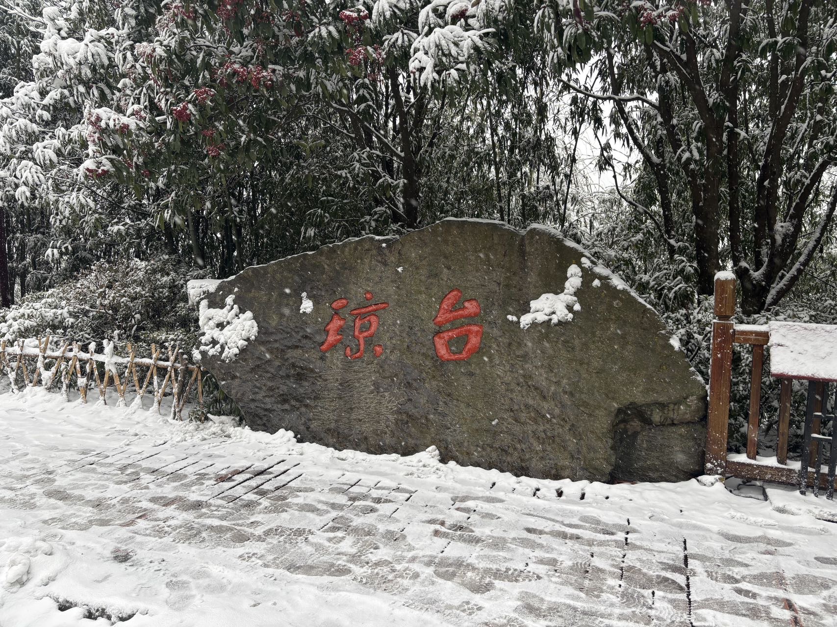 帖子配图 5