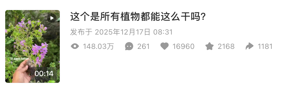 帖子配图 1