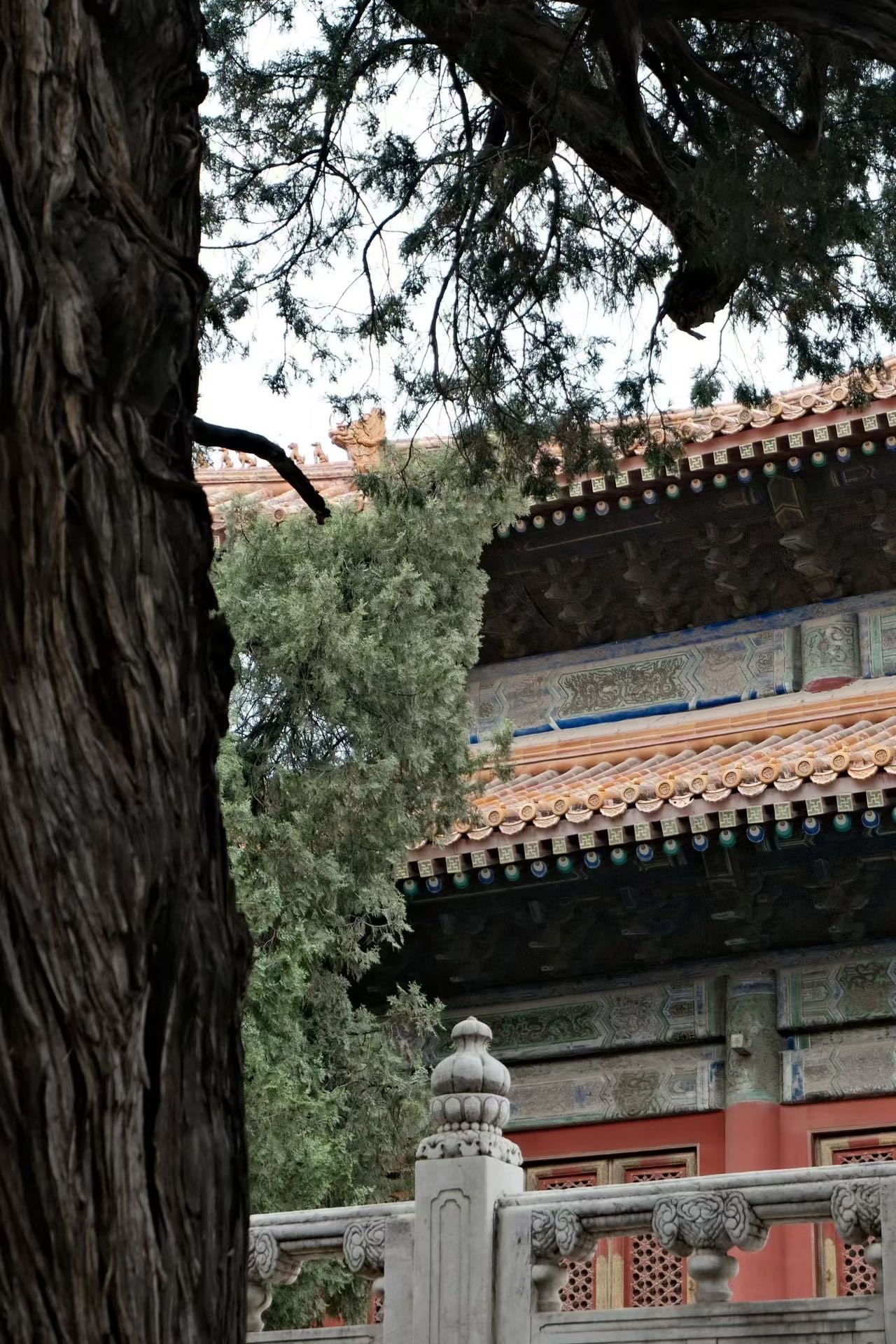 帖子配图 2