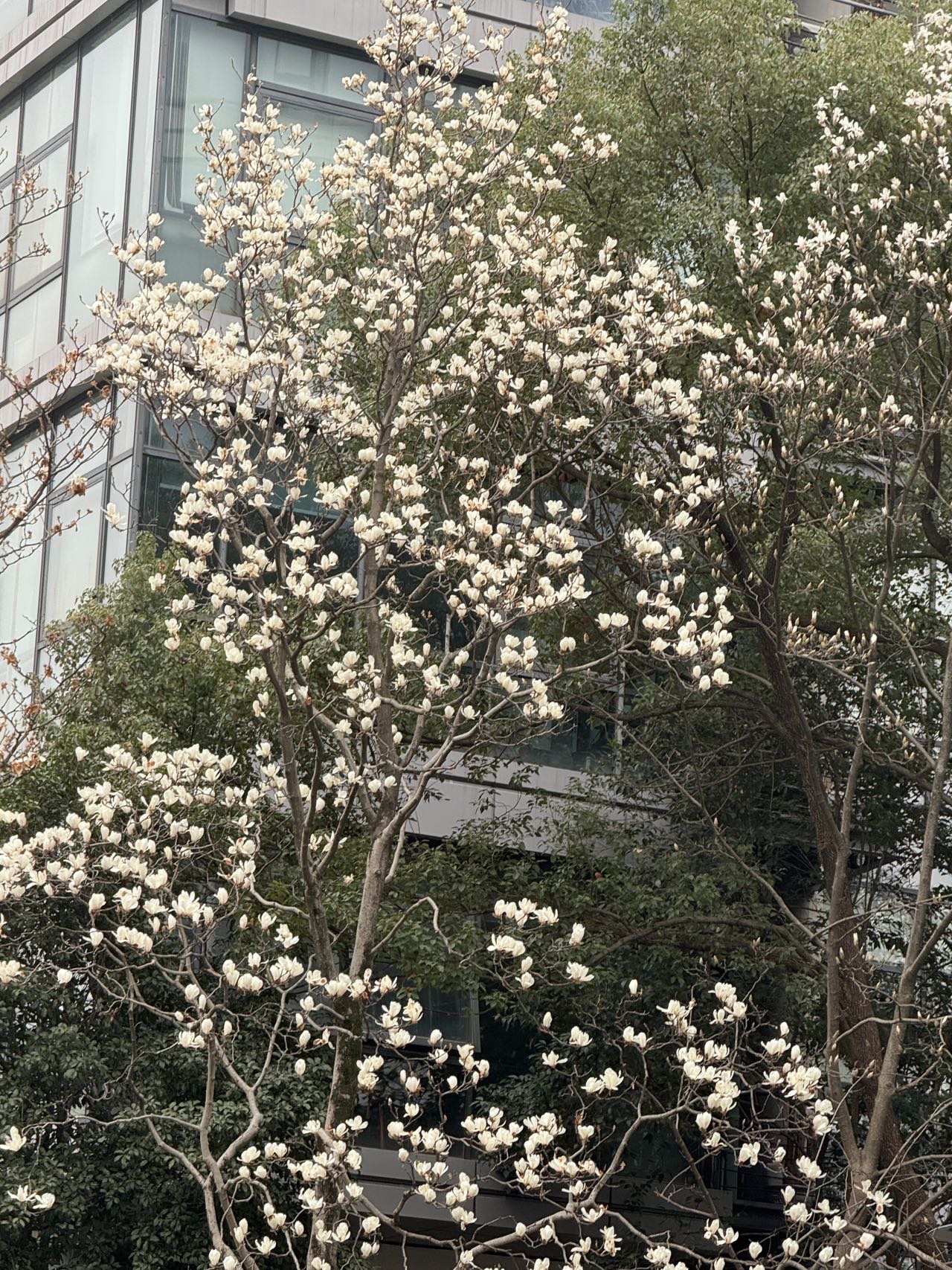 帖子配图 1