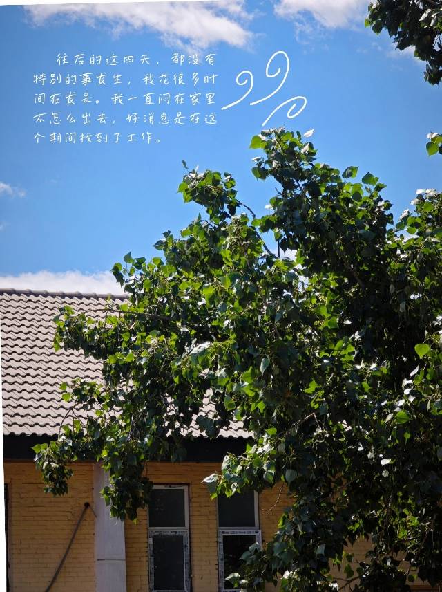 帖子配图 3