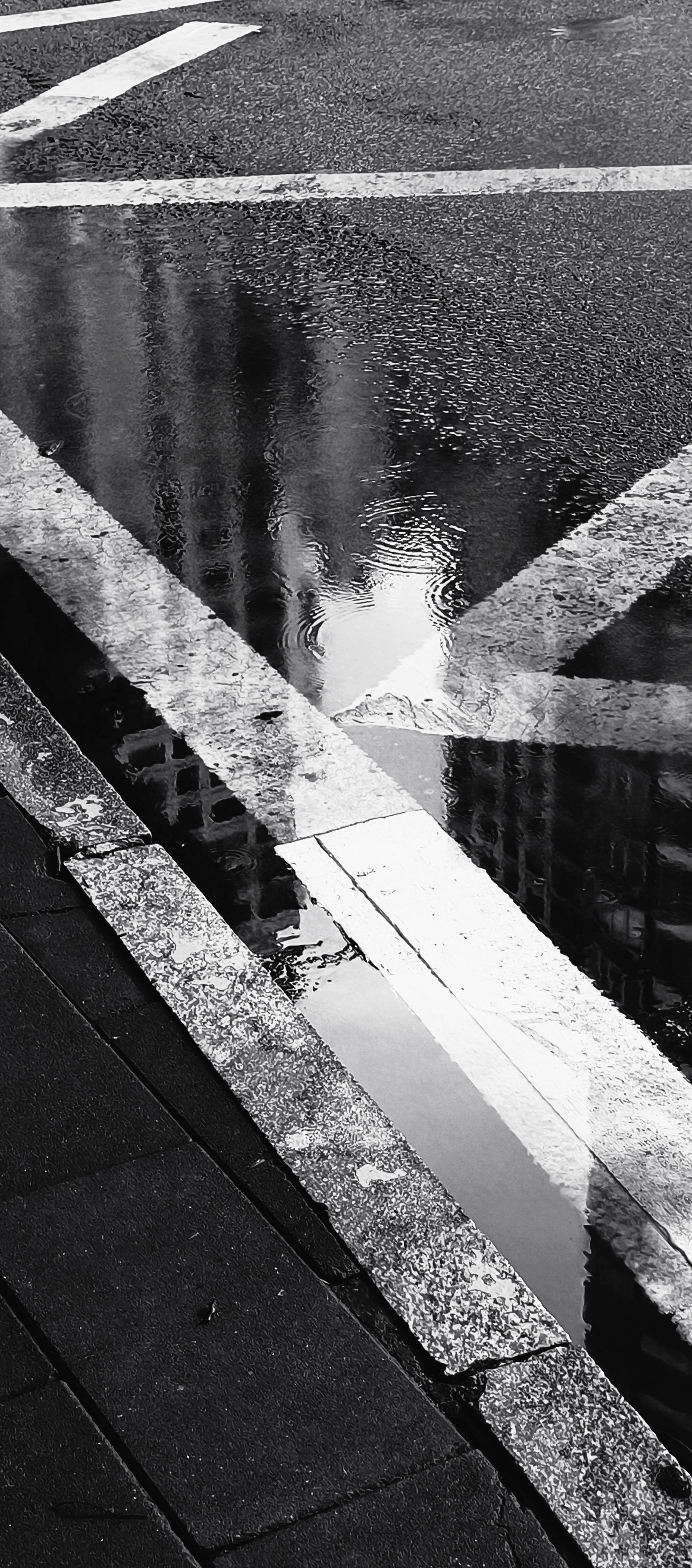 帖子配图 5
