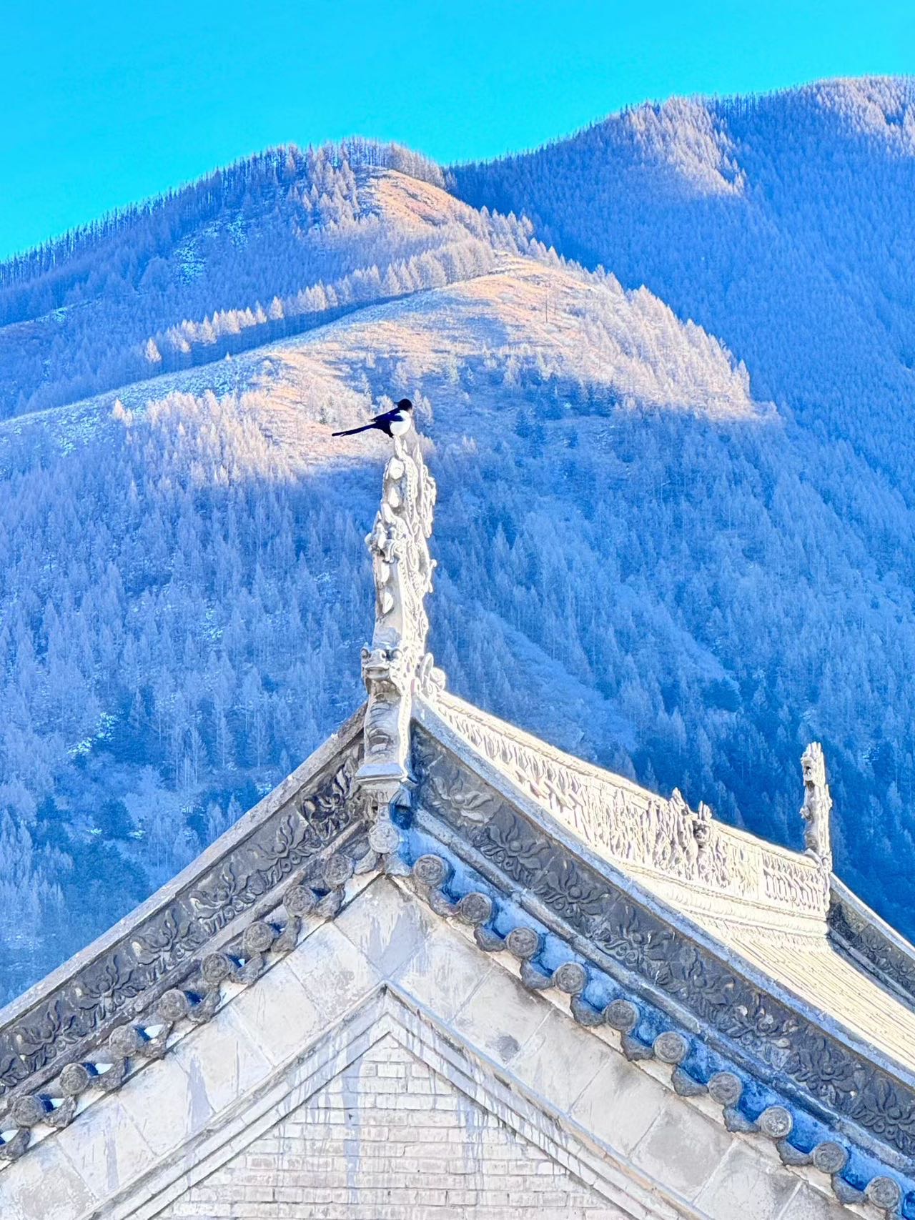 帖子配图 1