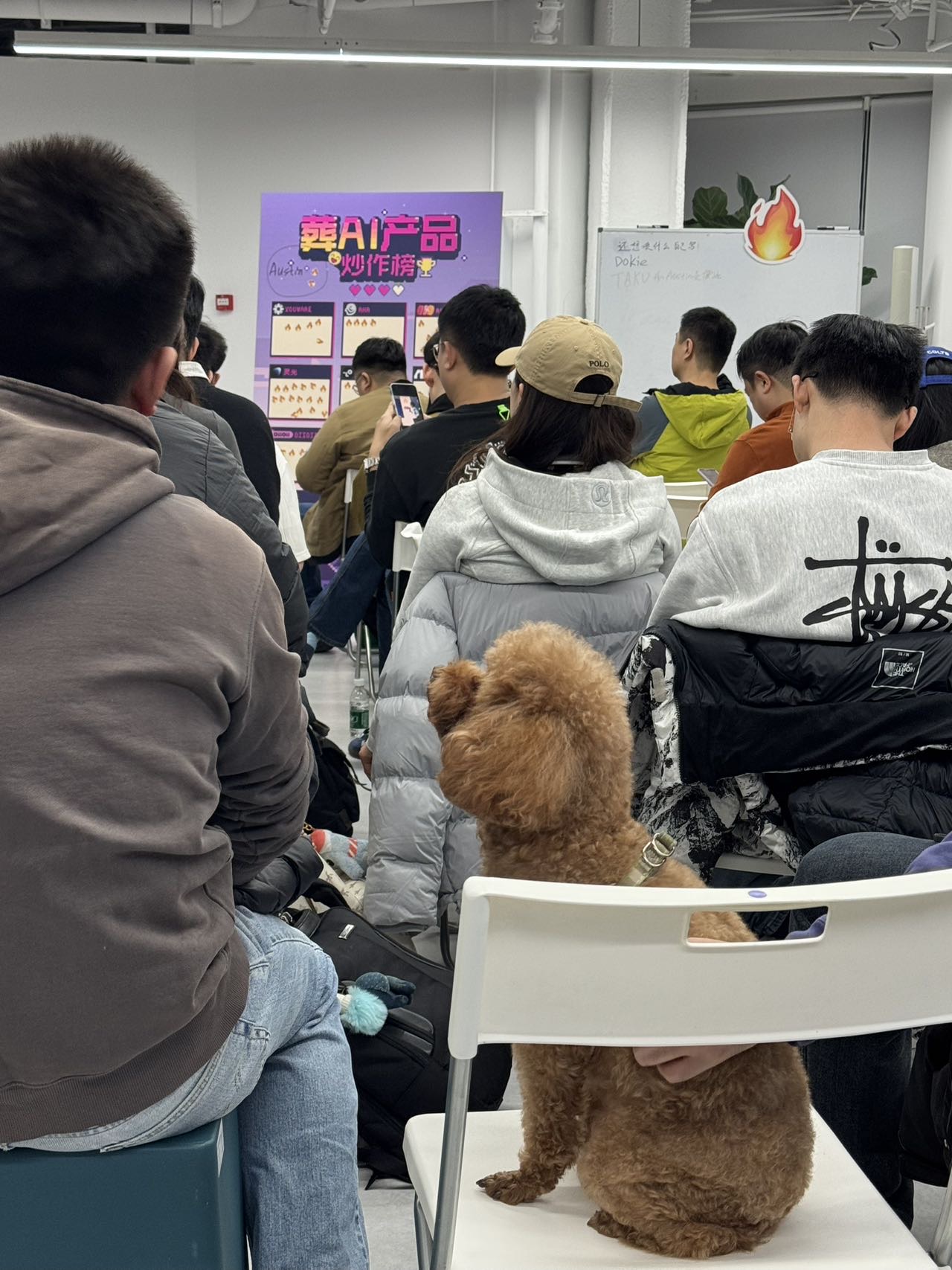 帖子配图 5