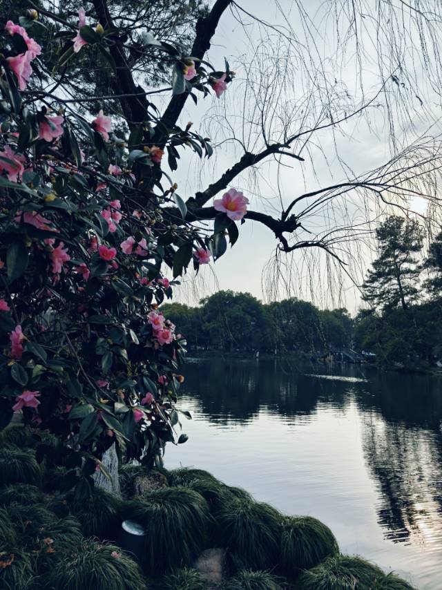 帖子配图 4