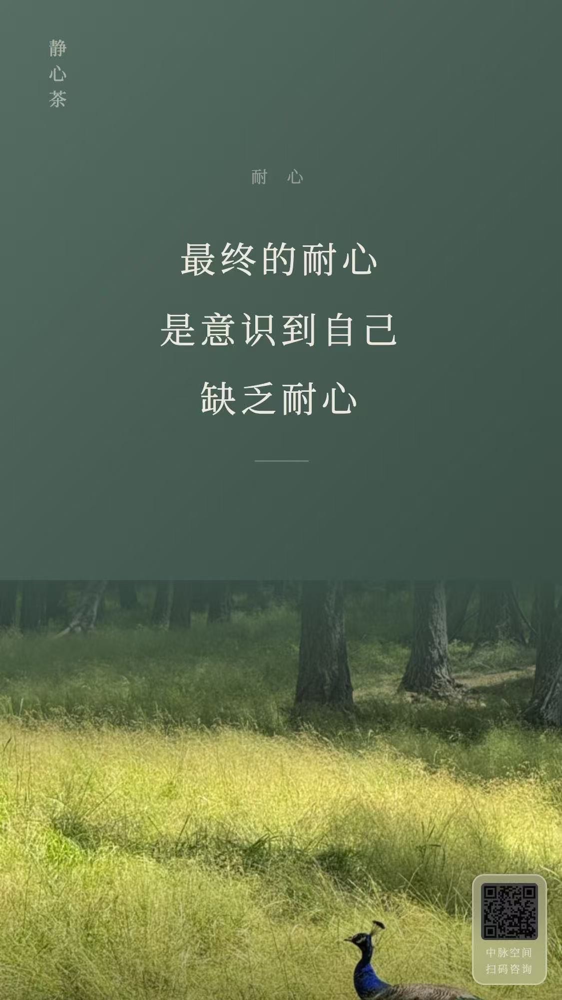 帖子配图 7