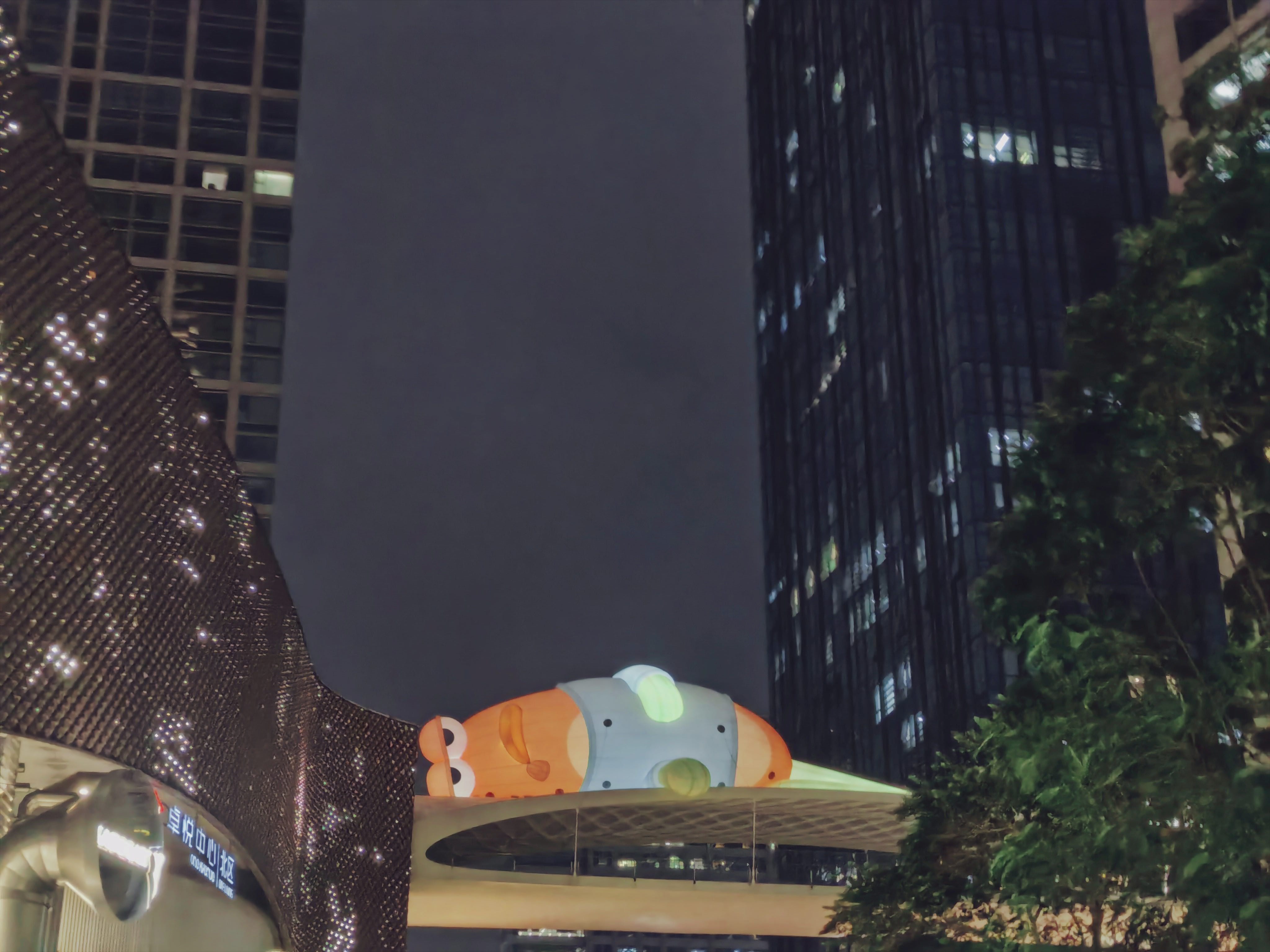 帖子配图 1