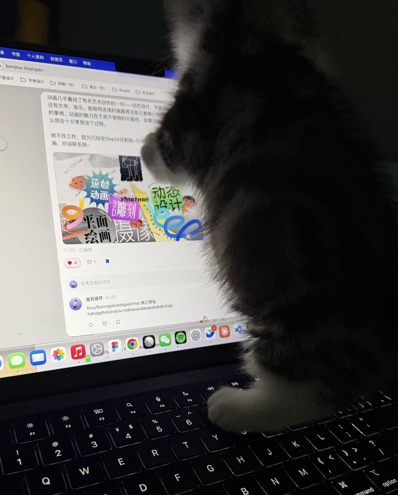 帖子配图 1