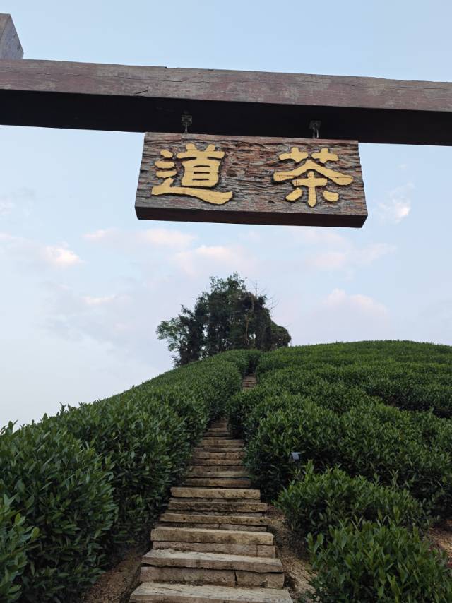 帖子配图 2
