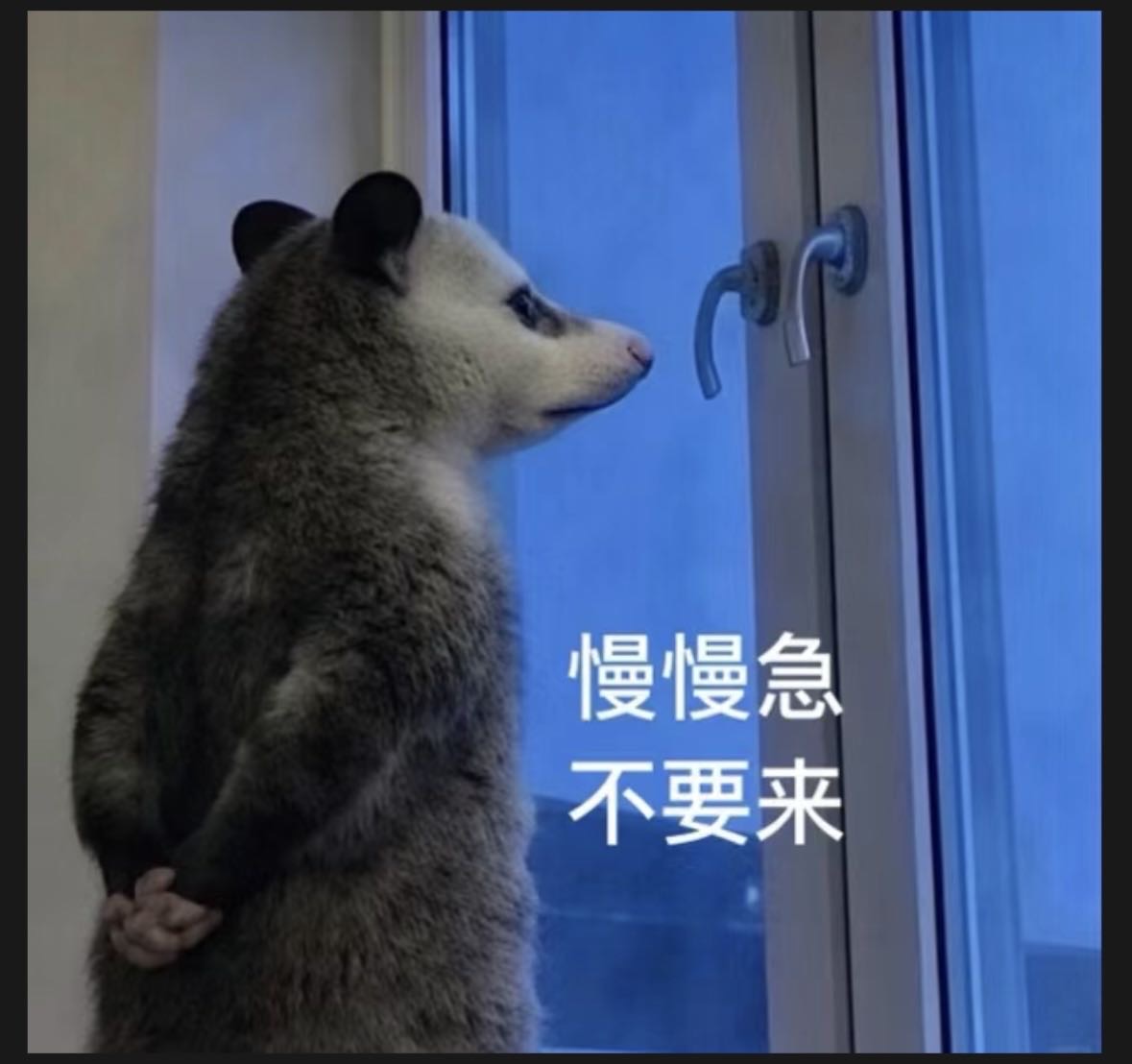 帖子配图 1